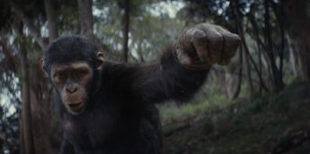 Imagens do Planeta dos Macacos