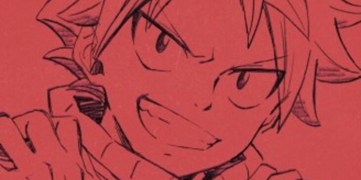 Fairy Tail do Hiro Mashima