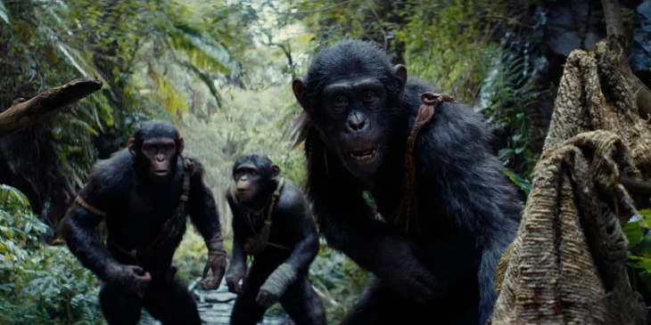 Planeta dos Macacos: O Reinado