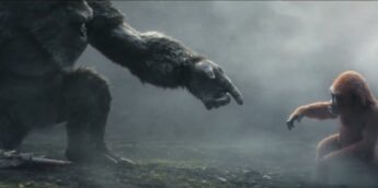 Kong e Baby Kong