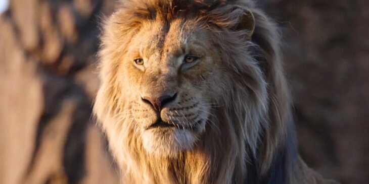 Mufasa: O Rei Leão