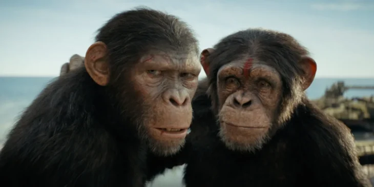 Planeta dos Macacos em São Francisco