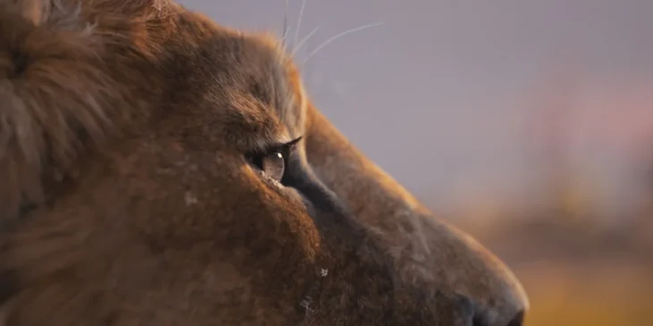Mufasa: O Rei Leão