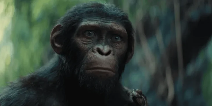 Planeta dos Macacos: O Reinado
