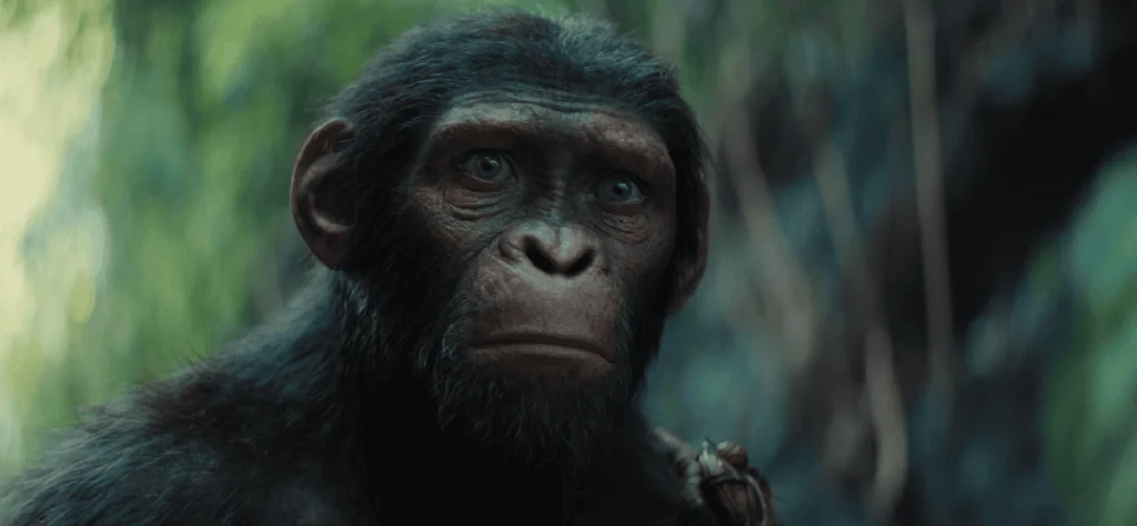 Planeta dos Macacos: O Reinado