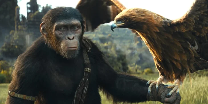 Planeta dos Macacos: O Reinado