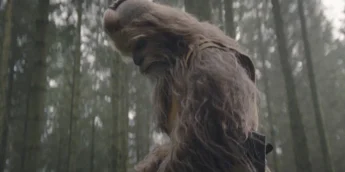 Wookie Jedi de The Acolyte