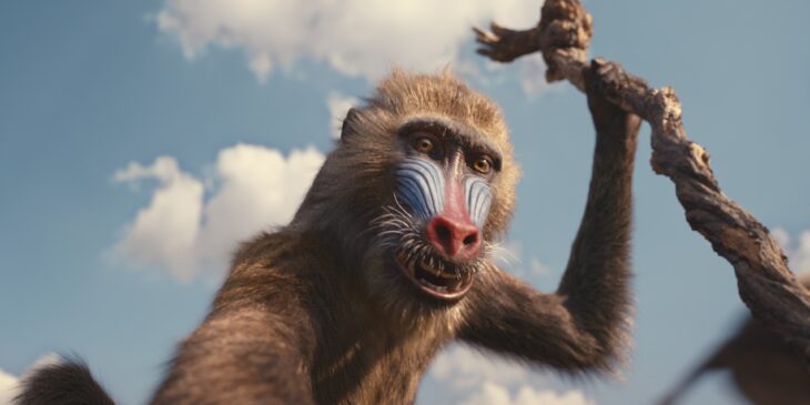 Rafiki em Mufasa