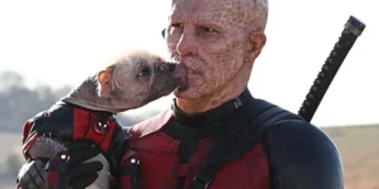 Dogpool e Ryan Reynolds em Deadpool & Wolverine