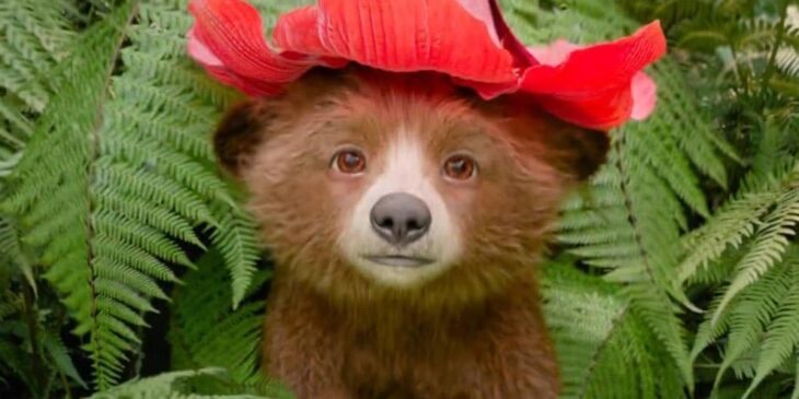 Paddington bebê