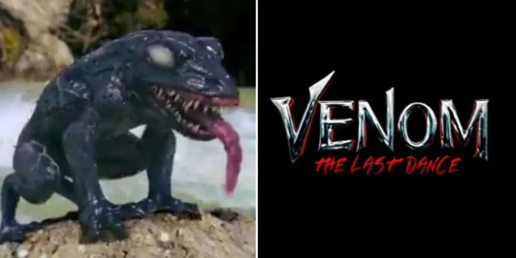 Sapo Venom