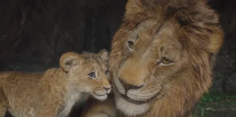 Mufasa: O Rei Leão