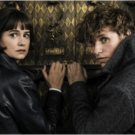 Animais Fantásticos | Katherine Waterston diz que ainda tem contrato para novos filmes