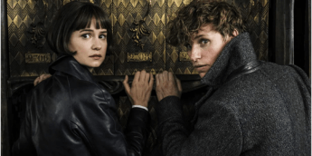 Animais Fantásticos | Katherine Waterston diz que ainda tem contrato para novos filmes