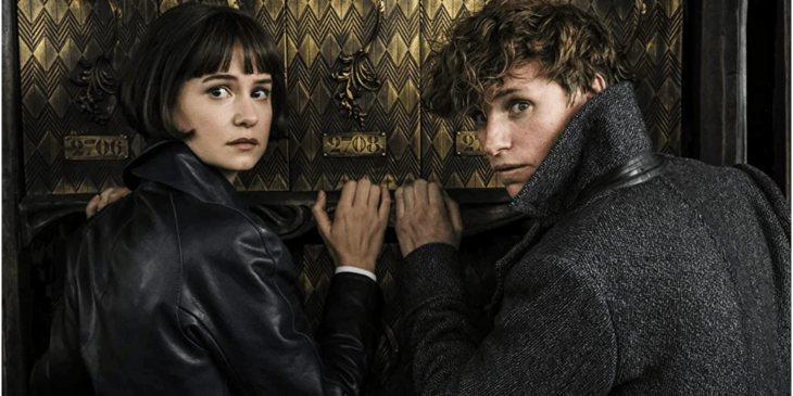 Animais Fantásticos | Katherine Waterston diz que ainda tem contrato para novos filmes