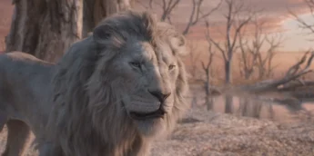 Projeção de Mufasa