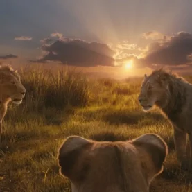 Combo de Mufasa