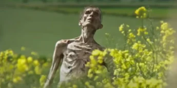 Extermínio A Evolução