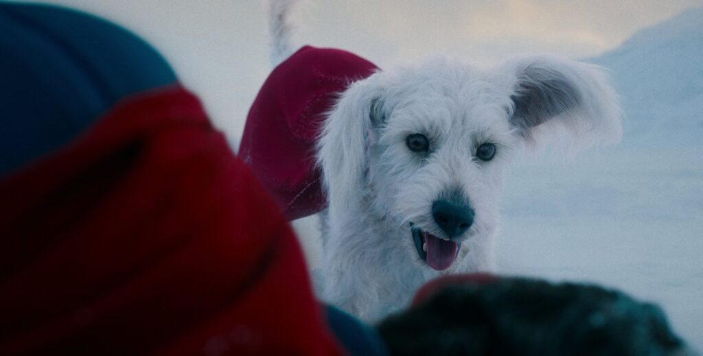 Krypto no Superman