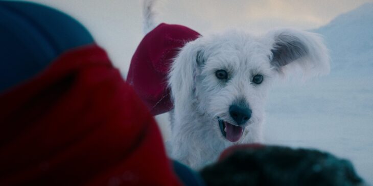 Krypto no Superman