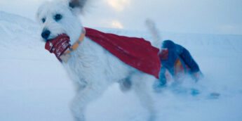 Krypto