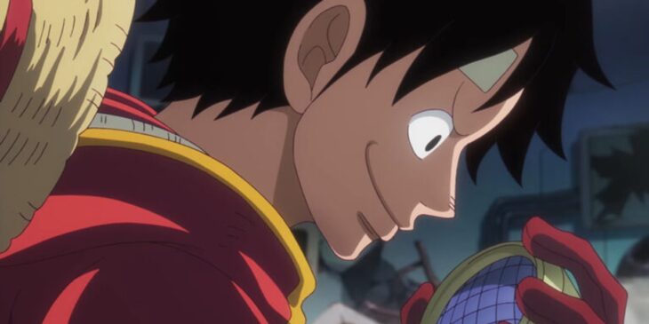 Hiato de One Piece