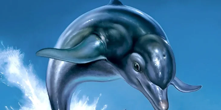 Ecco the Dolphin