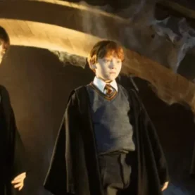 Harry Potter série streaming