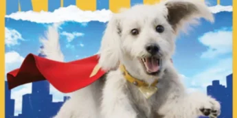 Krypto em Superman