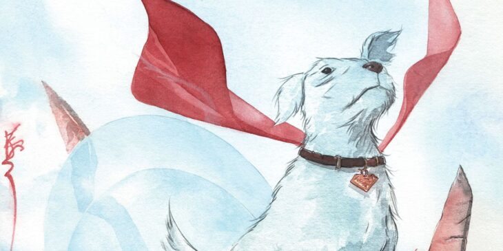 Krypto na DC