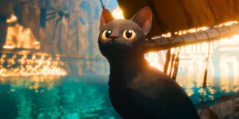 Flow adoção gatos pretos Brasil