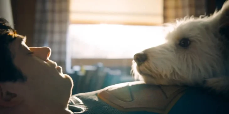 Superman e Krypto