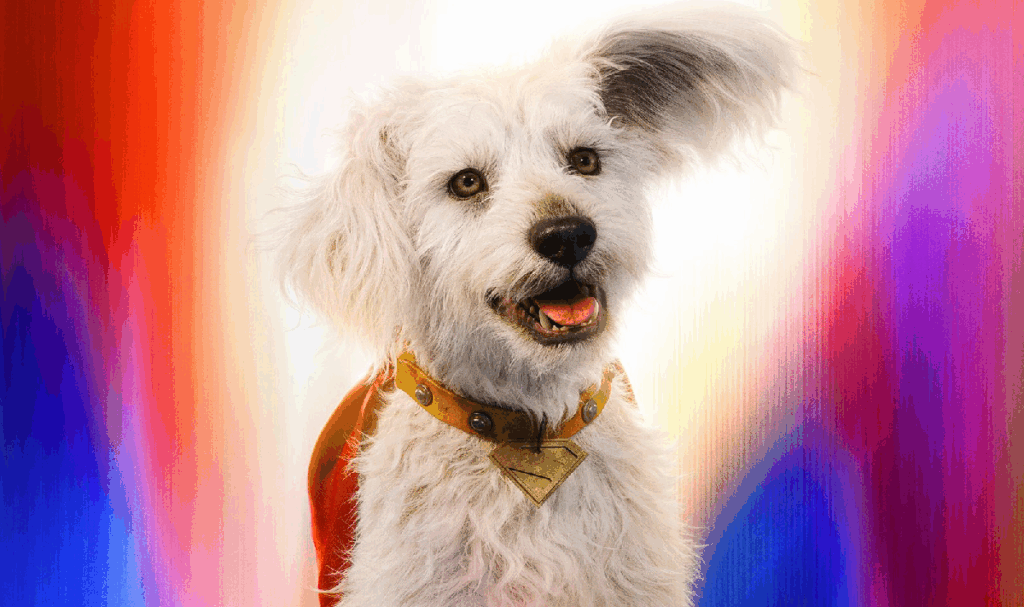 Superman: Krypto deve chegar ao Fortnite em breve