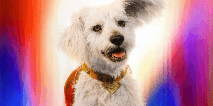 Superman: Krypto deve chegar ao Fortnite em breve