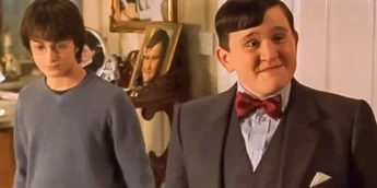 Harry Potter e Duda Dursley