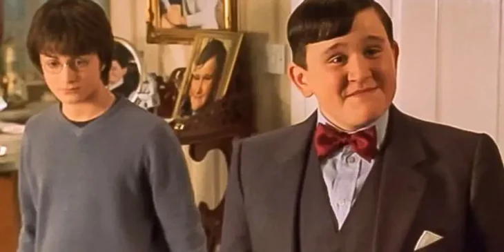 Harry Potter e Duda Dursley