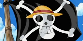 Jolly Roger de One Piece