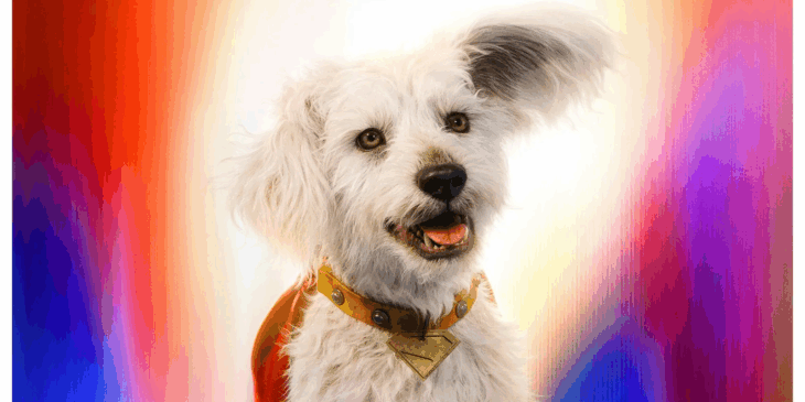 Superman: Assista ao curta animado do Krypto