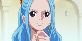 Nefertari Vivi na adaptação em anime de One Piece