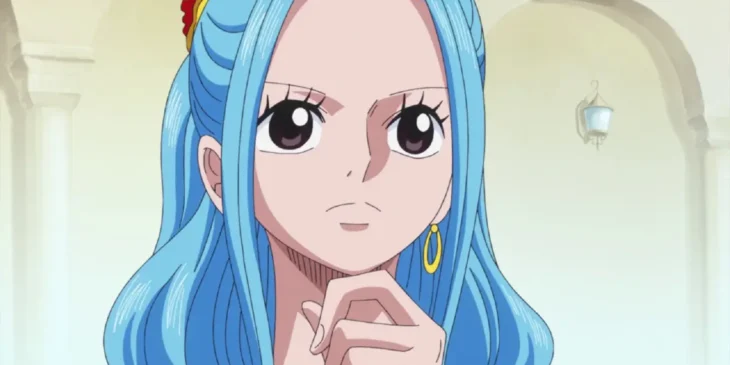 Nefertari Vivi na adaptação em anime de One Piece
