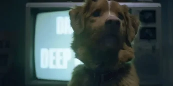 Good Boy