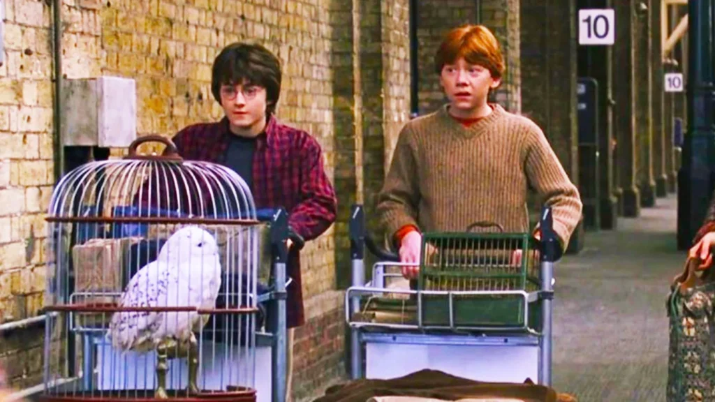 Harry Potter