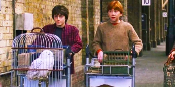 Harry Potter