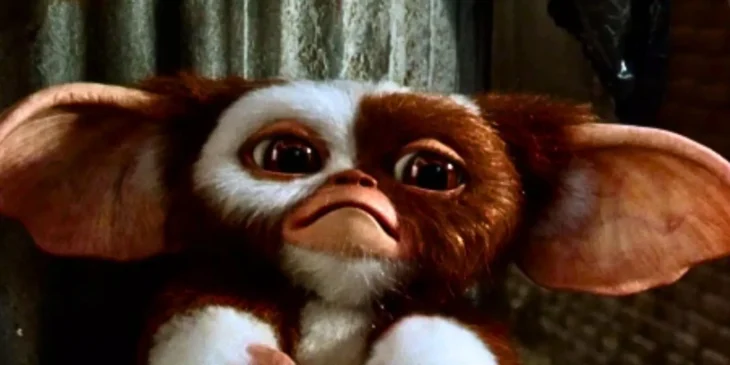 Gremlins 3, com Chris Columbus