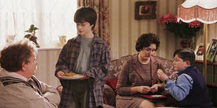 Família Dursley em Harry Potter