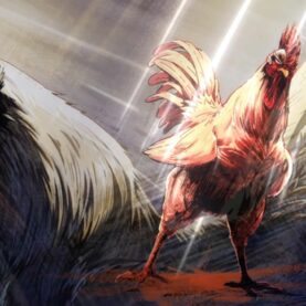 Abertura do Rooster Fighter