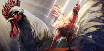 Abertura do Rooster Fighter