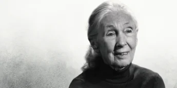 Jane Goodall