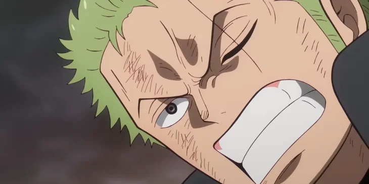 Zoro em cena do Episódio 1,150 de One Piece