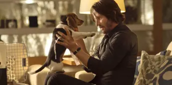 Keanu Reeves na franquia John Wick